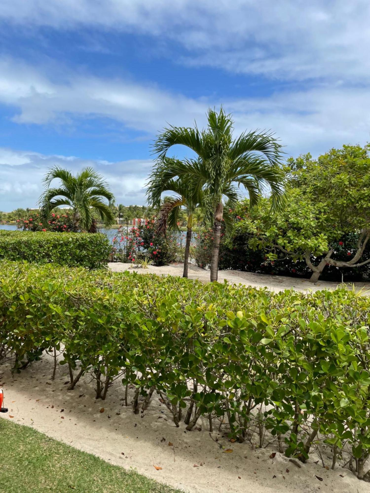 Apartamento No Condominio Iberostate Praia Do Forte Eksteriør billede
